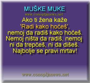 Smesni natpisi, smesni oglasi i smesne slike