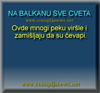 Smesni natpisi, smesni oglasi i smesne slike