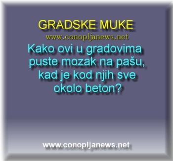 Smesni natpisi, smesni oglasi i smesne slike