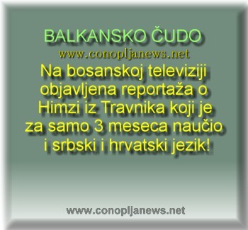 Smesni natpisi, smesni oglasi i smesne slike