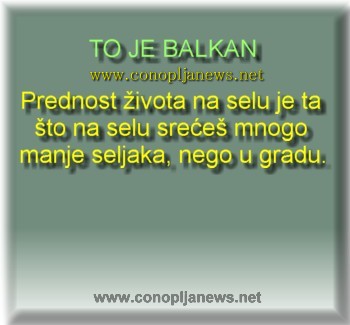 Smesni natpisi, smesni oglasi i smesne slike