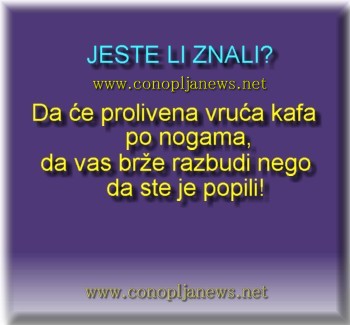 Smesni natpisi, smesni oglasi i smesne slike