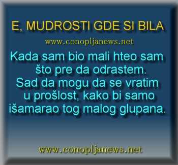 Smesni natpisi, smesni oglasi i smesne slike