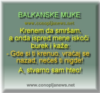 Smesni natpisi, smesni oglasi i smesne slike