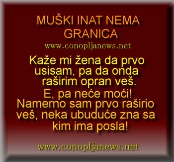 Smesni natpisi, smesni oglasi i smesne slike