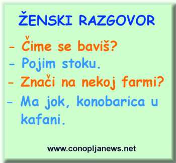 Smesni natpisi, smesni oglasi i smesne slike