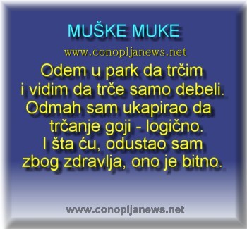 Smesni natpisi, smesni oglasi i smesne slike