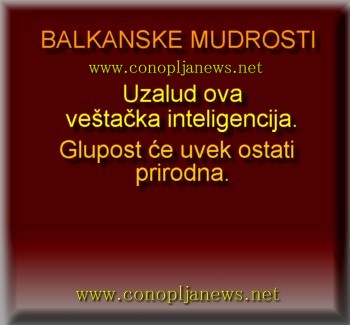 Smesni natpisi, smesni oglasi i smesne slike