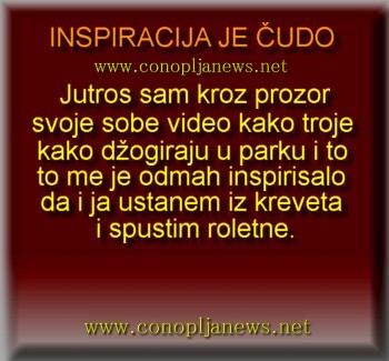 Smesni natpisi, smesni oglasi i smesne slike