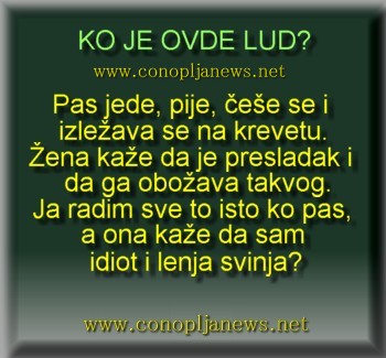 Smesni natpisi, smesni oglasi i smesne slike