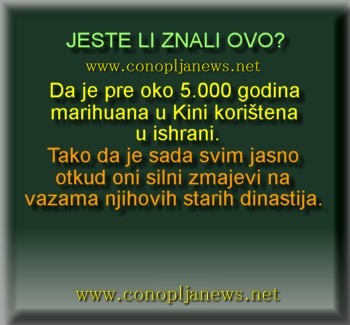 Smesni natpisi, smesni oglasi i smesne slike