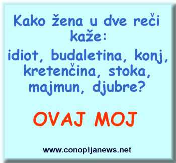 Smesni natpisi, smesni oglasi i smesne slike