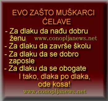 Smesni natpisi, smesni oglasi i smesne slike