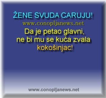 Smesni natpisi, smesni oglasi i smesne slike