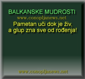 Smesni natpisi, smesni oglasi i smesne slike