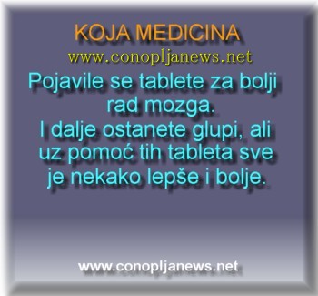 Smesni natpisi, smesni oglasi i smesne slike