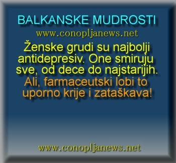 Smesni natpisi, smesni oglasi i smesne slike