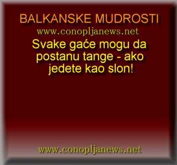 Smesni natpisi, smesni oglasi i smesne slike