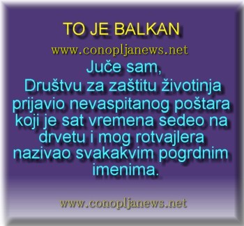 Smesni natpisi, smesni oglasi i smesne slike