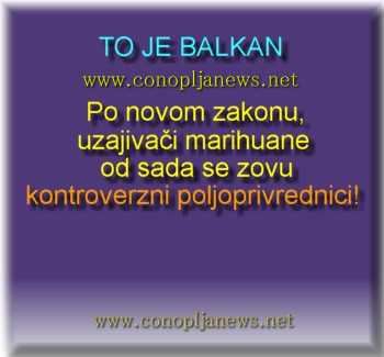 Smesni natpisi, smesni oglasi i smesne slike