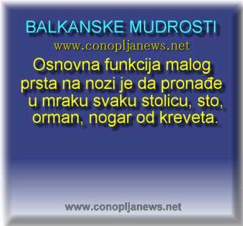 Smesni natpisi, smesni oglasi i smesne slike