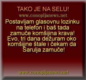 Smesni natpisi, smesni oglasi i smesne slike