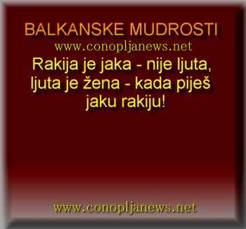 Smesni natpisi, smesni oglasi i smesne slike