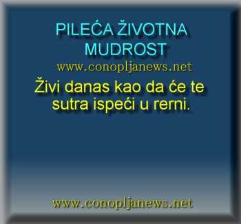 Smesni natpisi, smesni oglasi i smesne slike