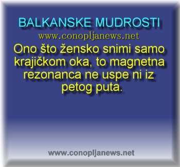 Smesni natpisi, smesni oglasi i smesne slike