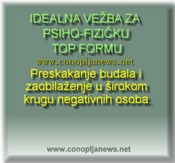 Smesni natpisi, smesni oglasi i smesne slike
