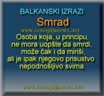 Smesni natpisi, smesni oglasi i smesne slike