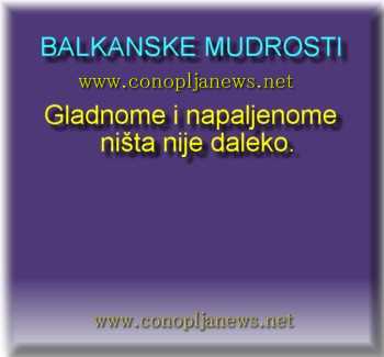 Smesni natpisi, smesni oglasi i smesne slike