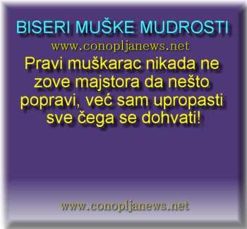Smesni natpisi, smesni oglasi i smesne slike