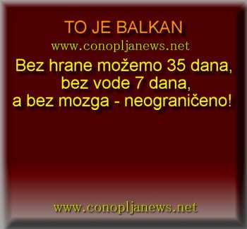 Smesni natpisi, smesni oglasi i smesne slike