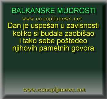 Smesni natpisi, smesni oglasi i smesne slike