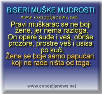 Smesni natpisi, smesni oglasi i smesne slike