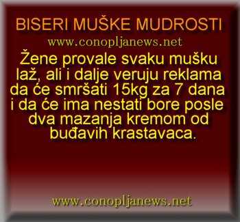 Smesni natpisi, smesni oglasi i smesne slike