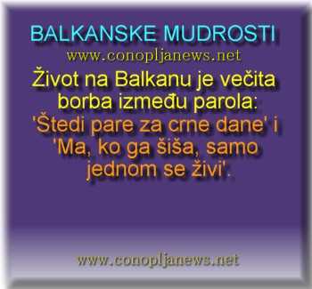 Smesni natpisi, smesni oglasi i smesne slike