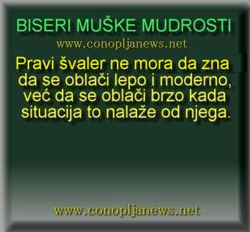 Smesni natpisi, smesni oglasi i smesne slike