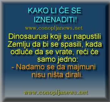 Smesni natpisi, smesni oglasi i smesne slike