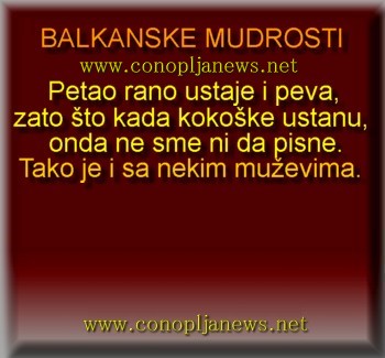 Smesni natpisi, smesni oglasi i smesne slike
