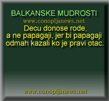 Smesni natpisi, smesni oglasi i smesne slike