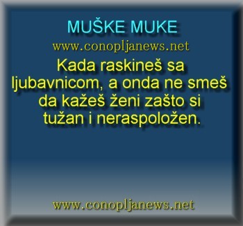 Smesni natpisi, smesni oglasi i smesne slike