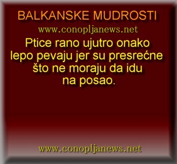 Smesni natpisi, smesni oglasi i smesne slike
