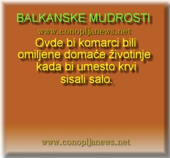 Smesni natpisi, smesni oglasi i smesne slike