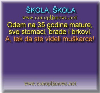 Smesni natpisi, smesni oglasi i smesne slike