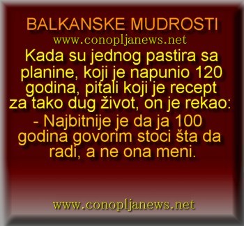 Smesni natpisi, smesni oglasi i smesne slike