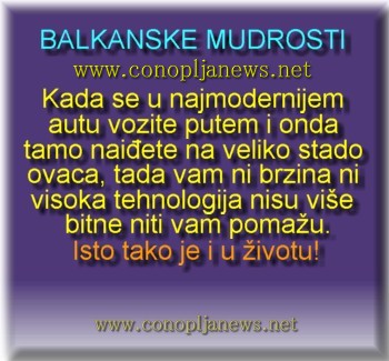 Smesni natpisi, smesni oglasi i smesne slike
