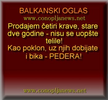 Smesni natpisi, smesni oglasi i smesne slike