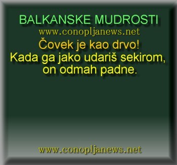 Smesni natpisi, smesni oglasi i smesne slike